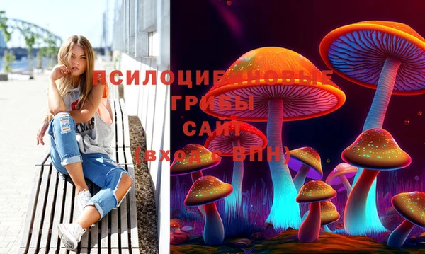 мет Бородино