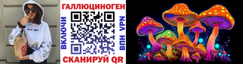 даркнет сайт  Кирс  Псилоцибиновые грибы мицелий 